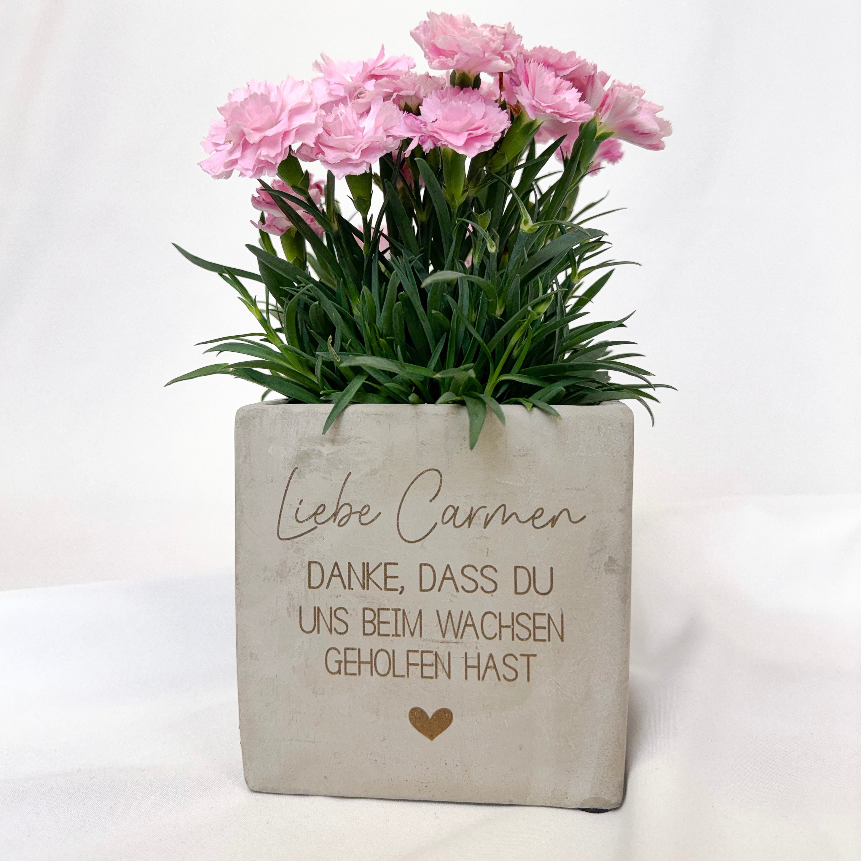 Blumentopf · Erzieher / Lehrer