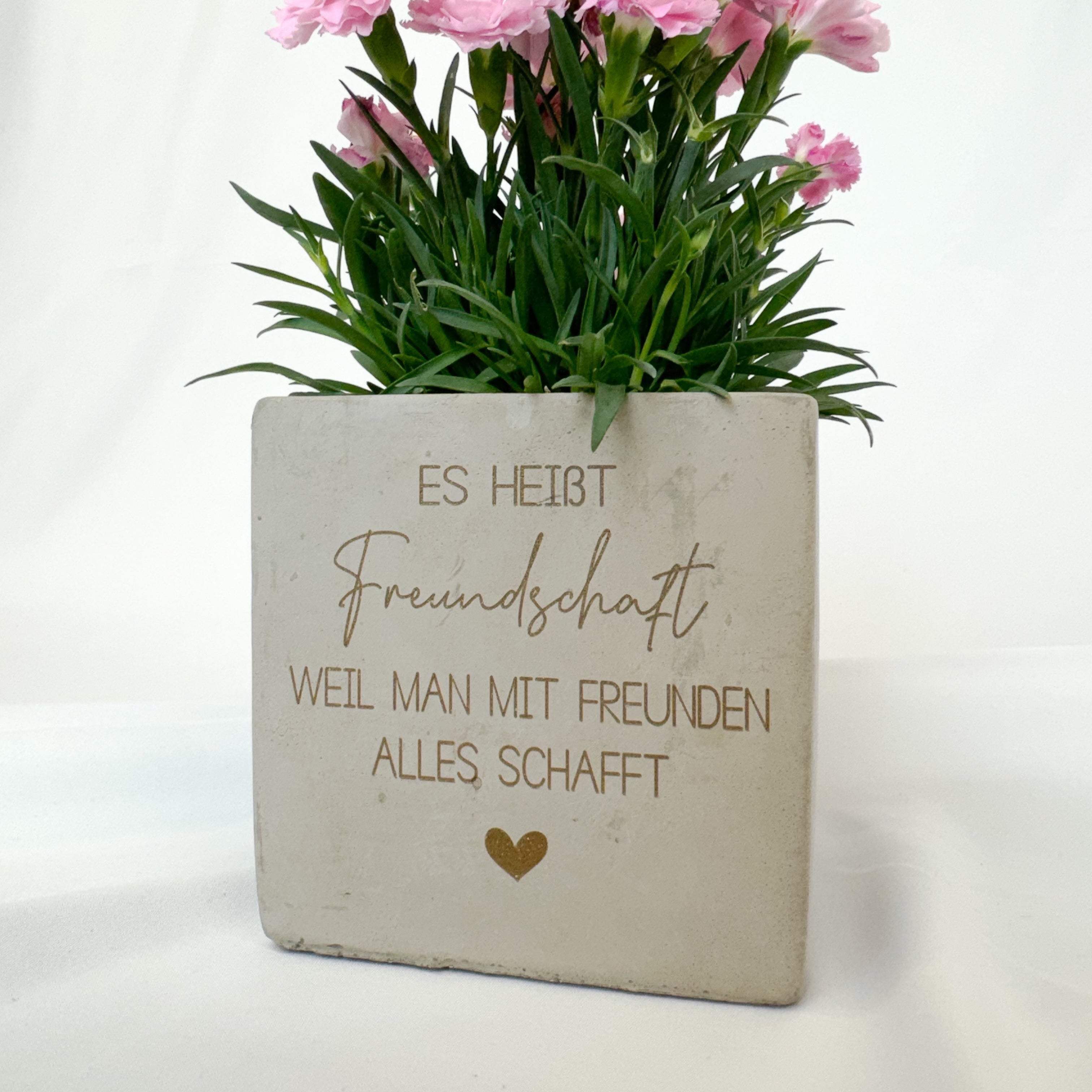 Blumentopf · Freundschaft