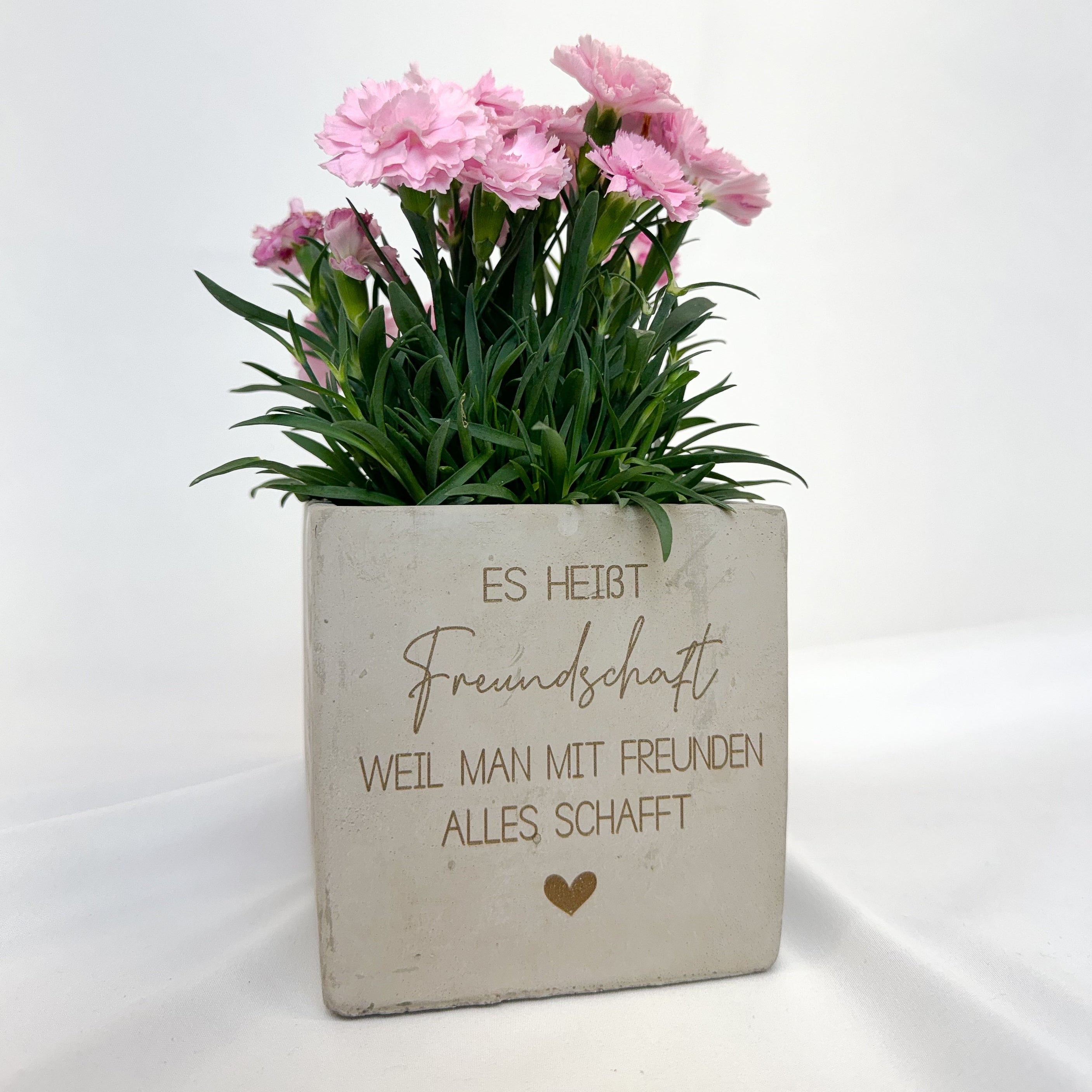 Blumentopf · Freundschaft