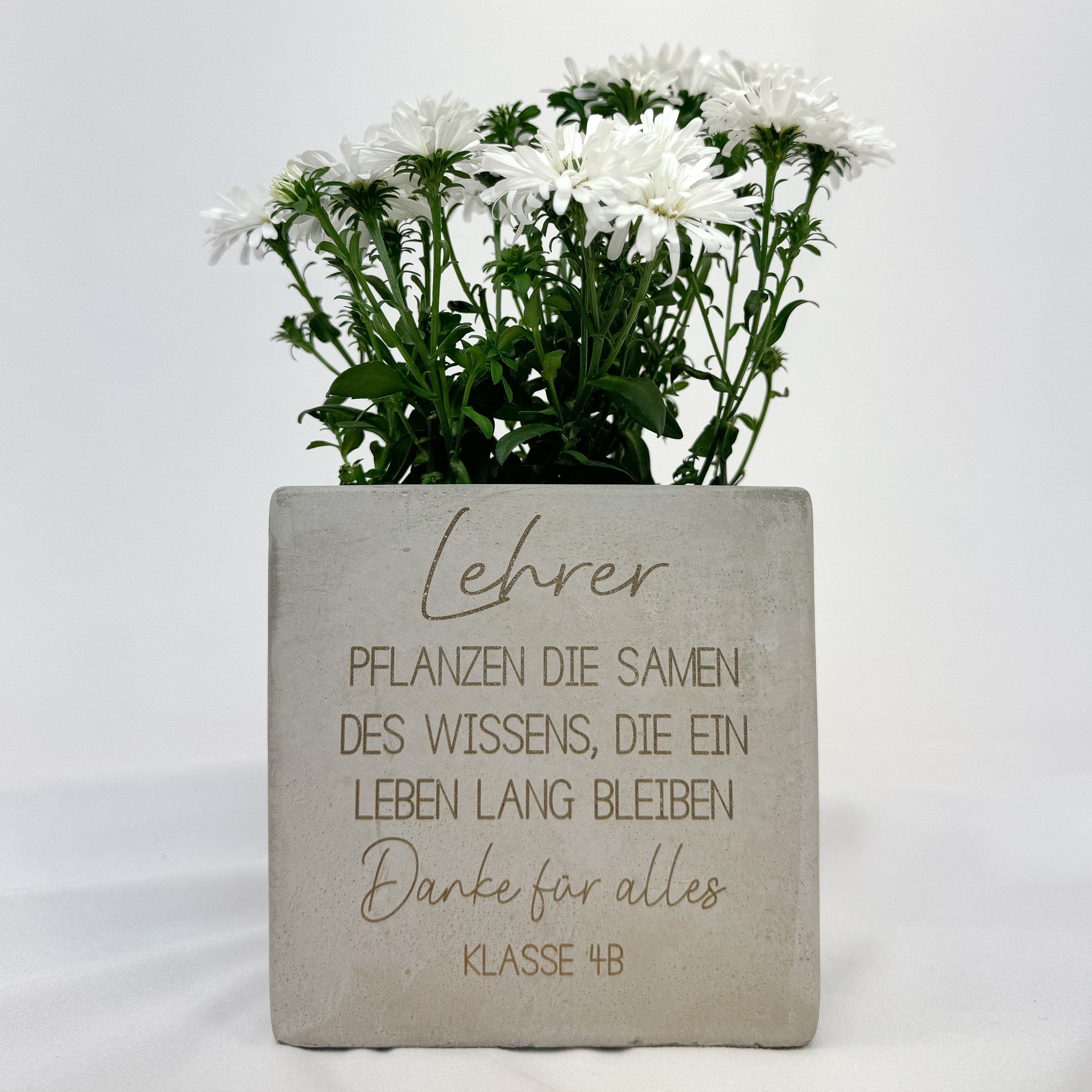 Blumentopf · Lehrer