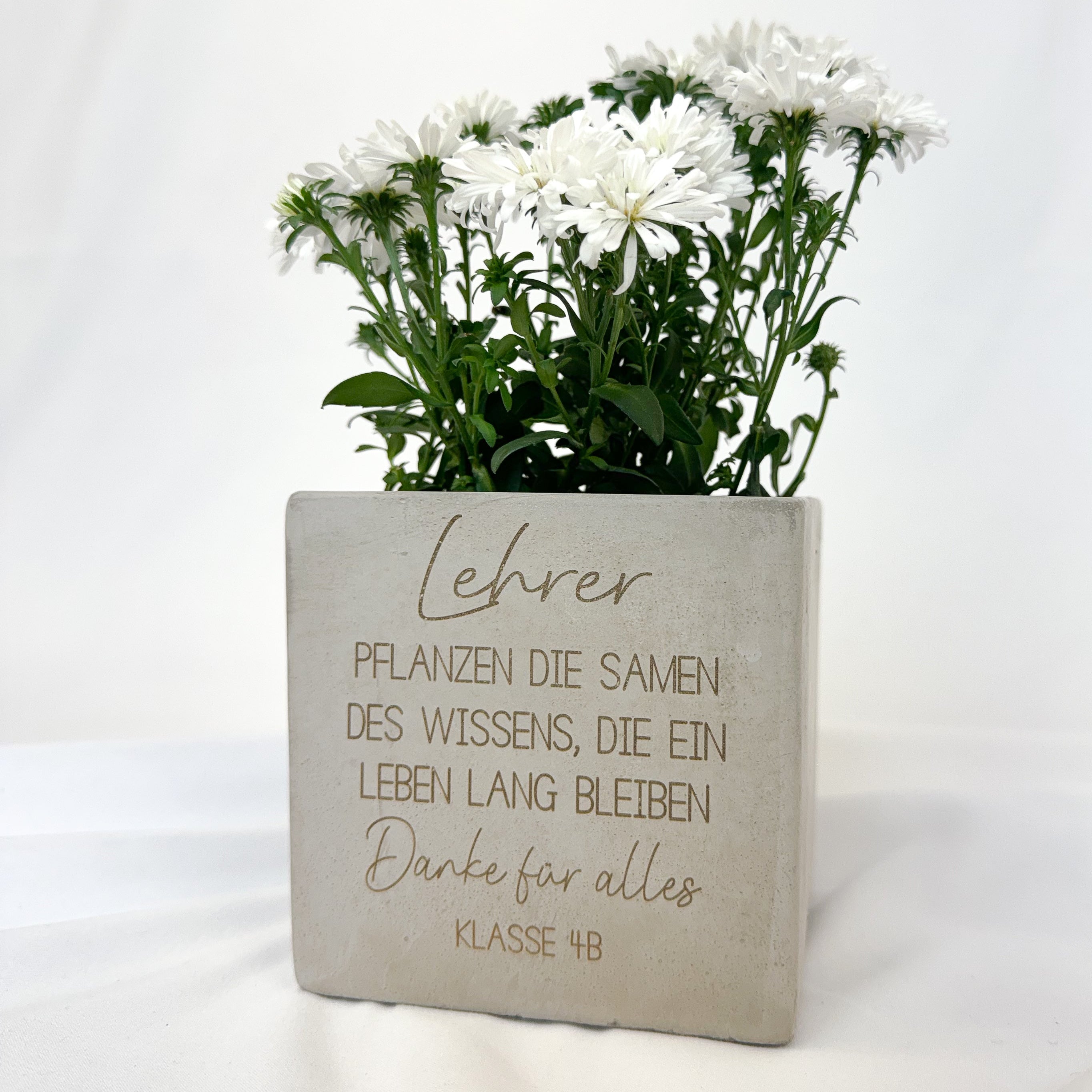 Blumentopf · Lehrer
