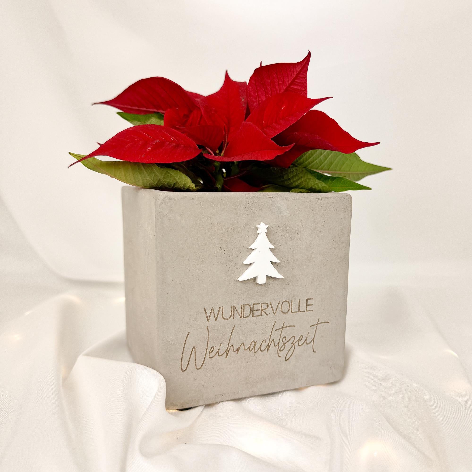 Blumentopf · Wundervolle Weihnachten