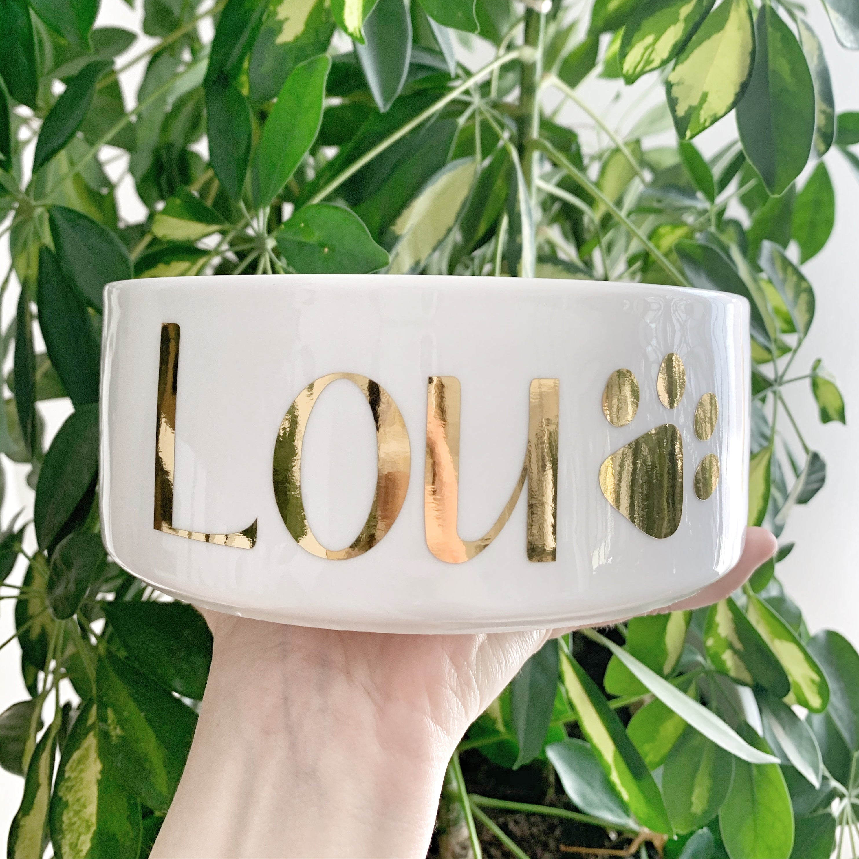 Hundenapf mit Name + Motiv (personalisiert)