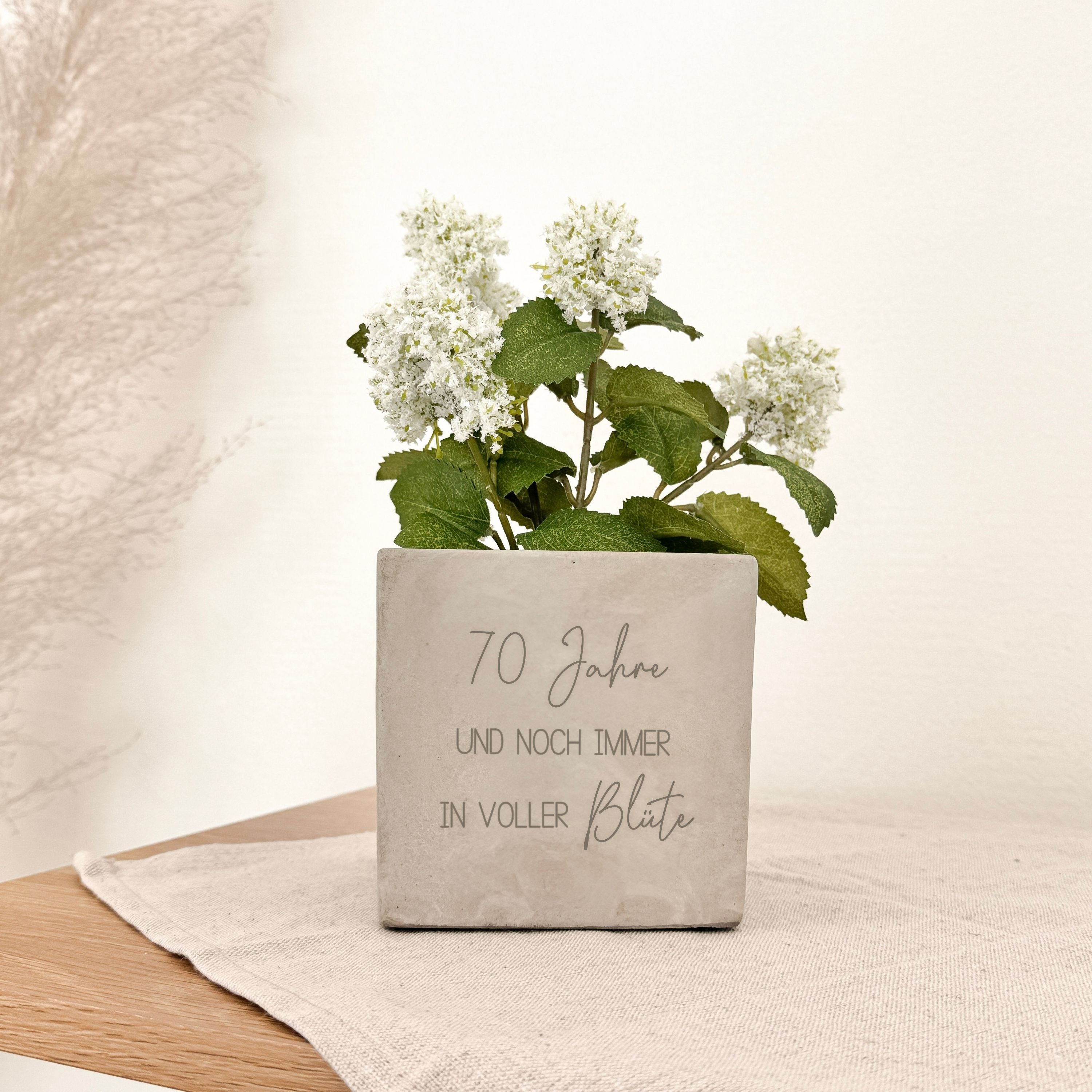 Blumentopf · Geburtstag