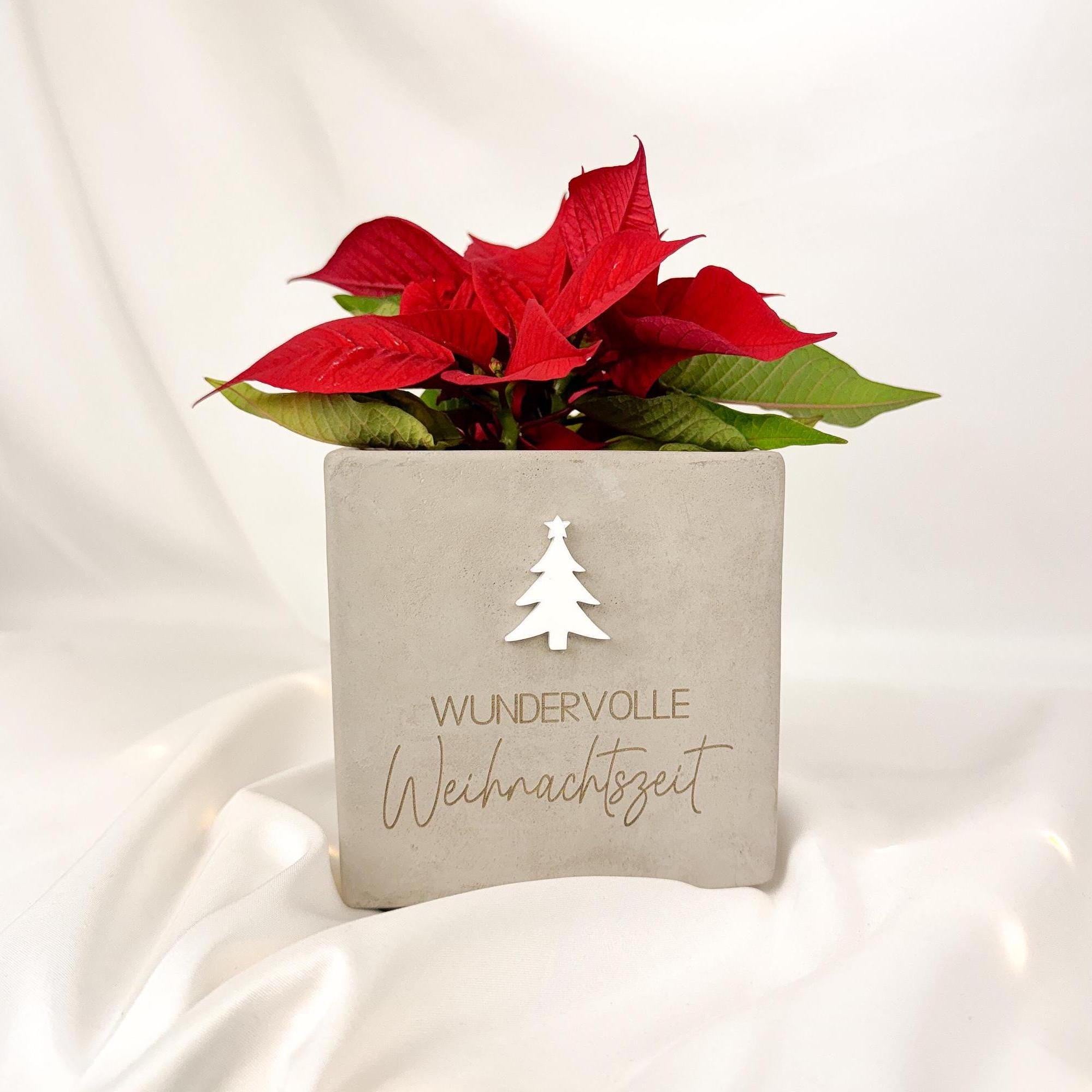 Blumentopf · Wundervolle Weihnachten