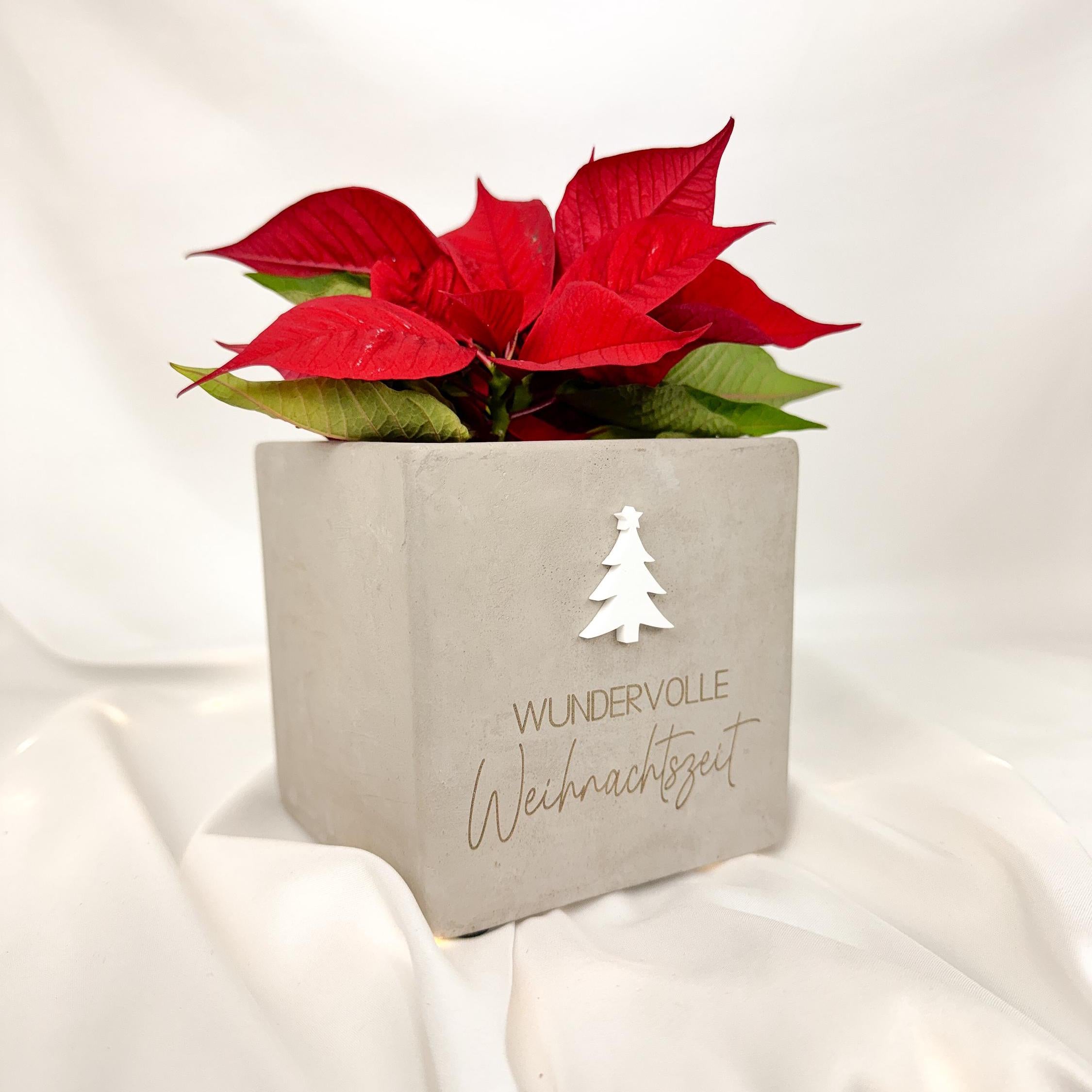 Blumentopf · Wundervolle Weihnachten