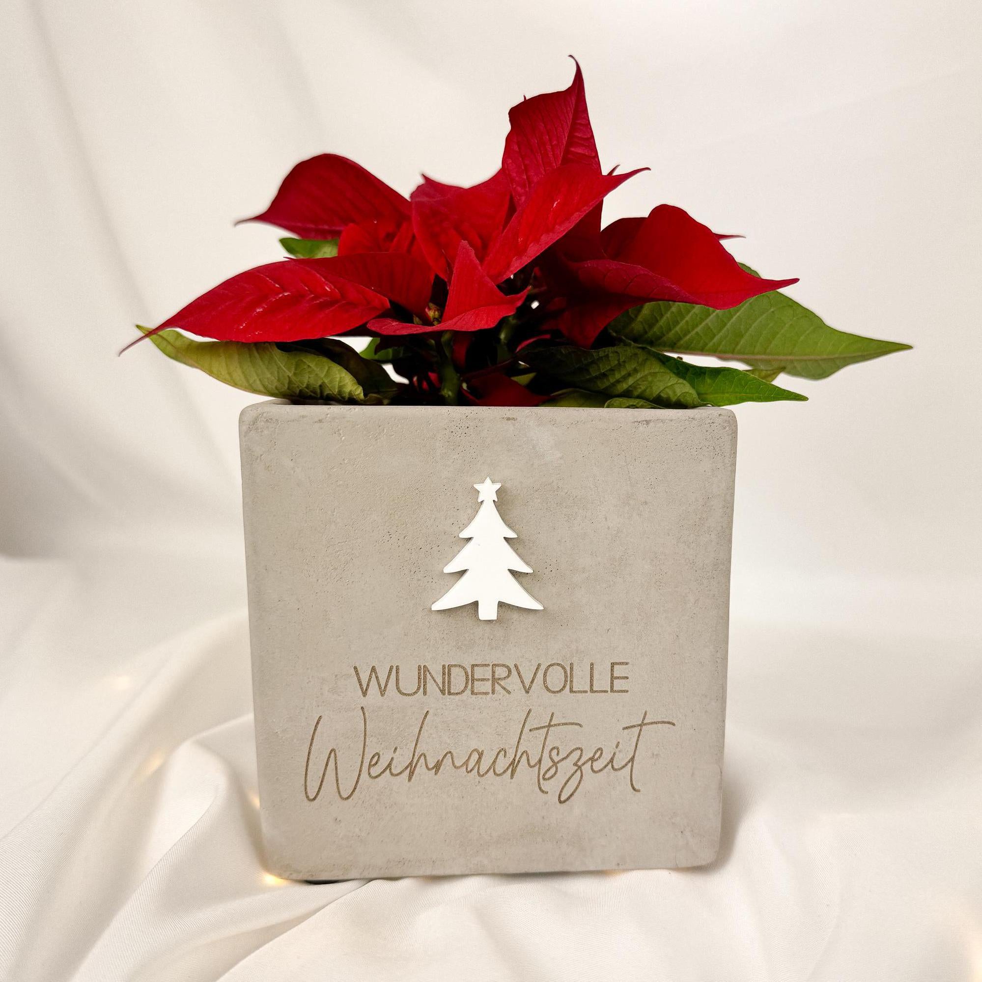 Blumentopf · Wundervolle Weihnachten