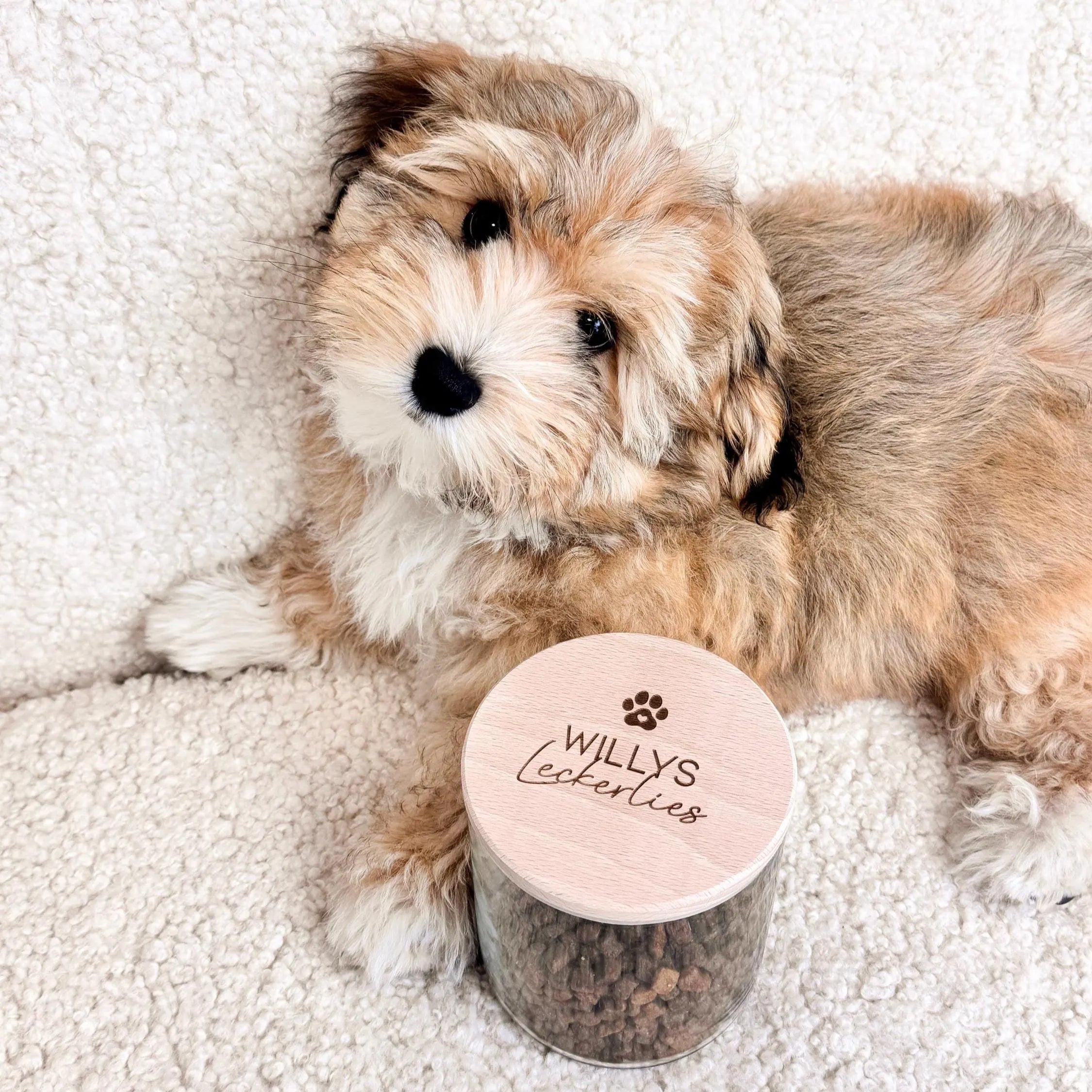 Vorratsglas · Leckerli